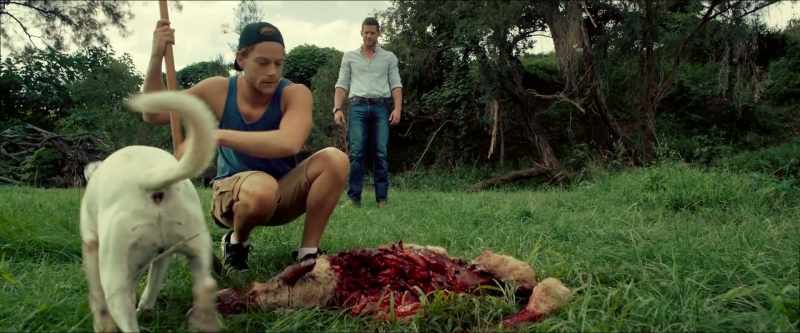 Oi, Max, out of it. [whistles]