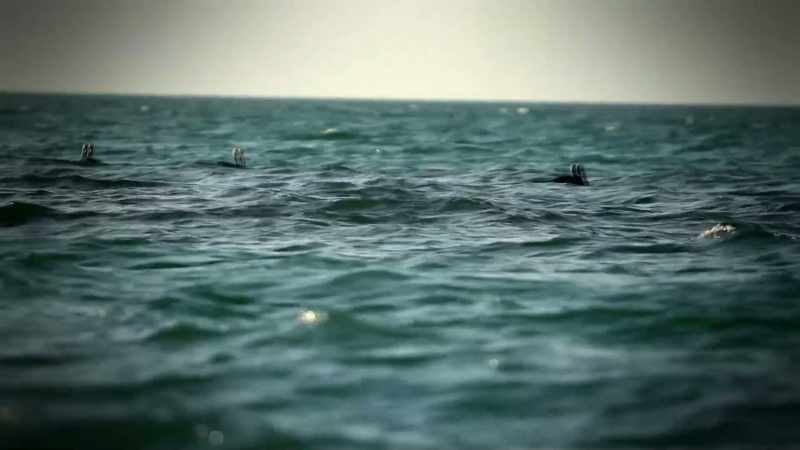 OIL USUALLY POISONS, KILLING SLOWLY