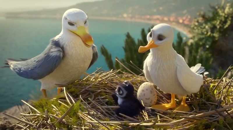 OK. I'll train him to become a proper seagull