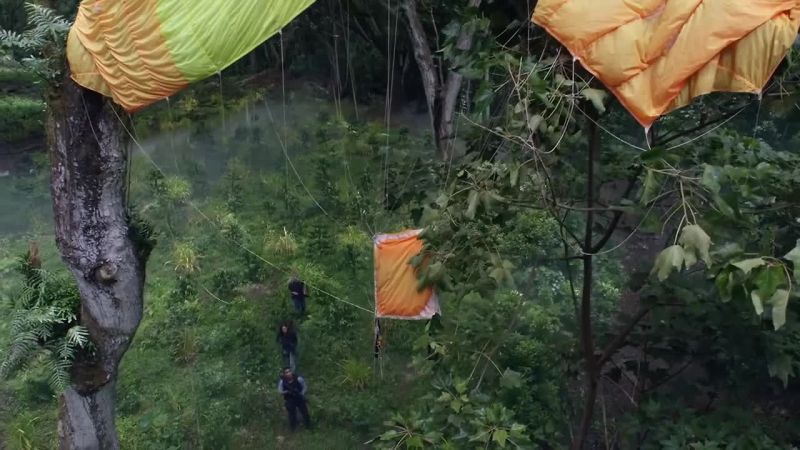 Okay, so based on the way that canopy's tangled up