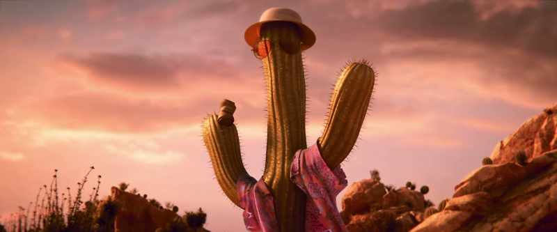 Okay, we definitely passed that cactus before