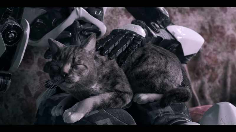 Okay, fine. - [cat purrs]