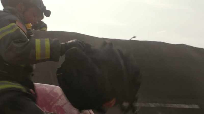 Okay, Hen, you got a harness and a capture strap