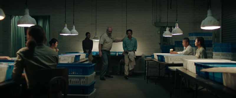 Okay, here we put the males in the blue bin