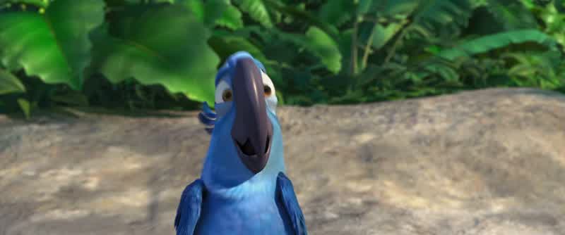 Okay l need you two to get closerCloserNiceNow put your wings around each otherWhat Come on amigolt's not like she's going to biteWill youWe'll see