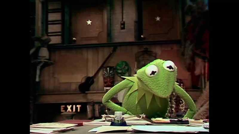 Okay, Kermit, now you're going to introduce me, right?