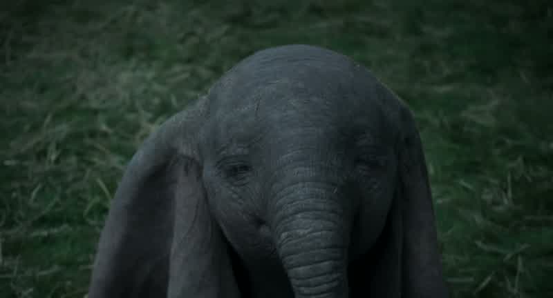 Okay, little fella