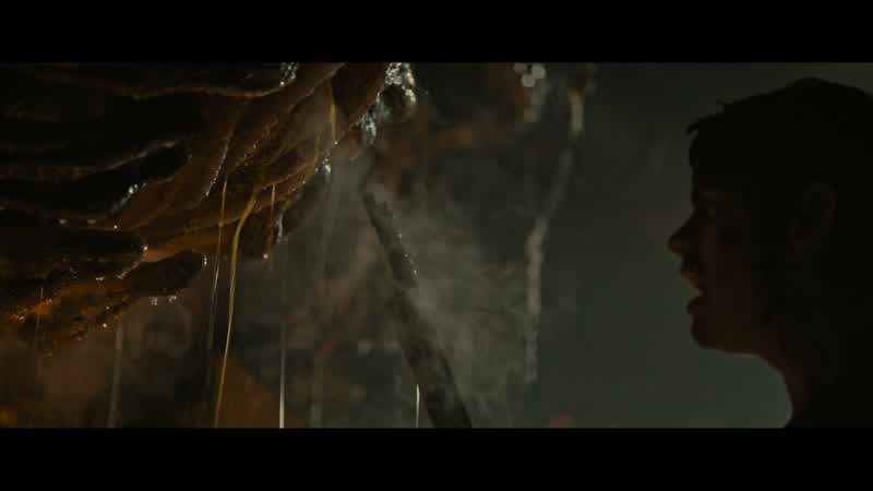 Okay. Okay. Bjorn, let's go. Let's go