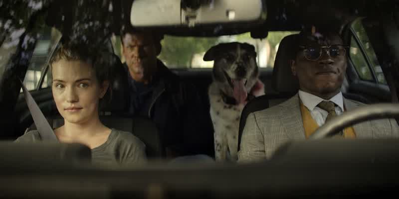 Okay. So, what are we gonna do now? Take the dog to a no-kill shelter, then drop me off at Hubble's