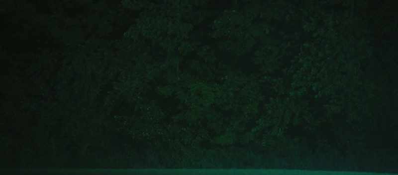 Okay, so screaming into the trees is therapeutic?