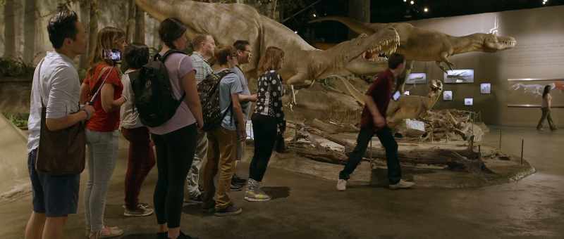 Okay, so, these are Albertosaurus