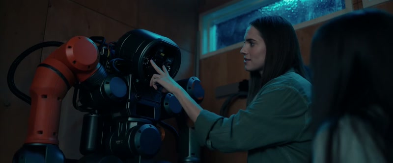 Okay. These are stereoscopic cameras