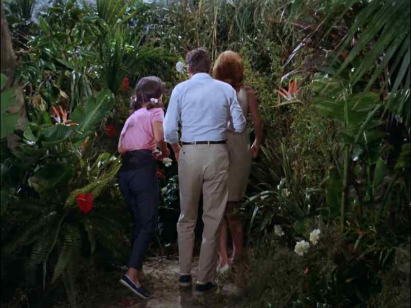 OKAY, WE'VE SEEN IT. NOW CAN WE GO BACK?
