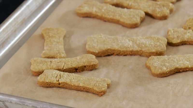 Okie dokie. - ♪ Doggie biscuits ♪