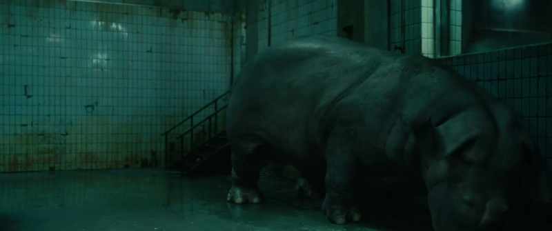 Okja! Are you okay?