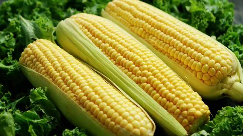 Olive oils and canola oils and corn oils