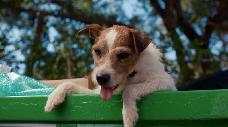[Oliver] If this has anything to do with the Dogfather