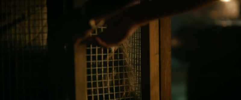 [Oliver sighs]