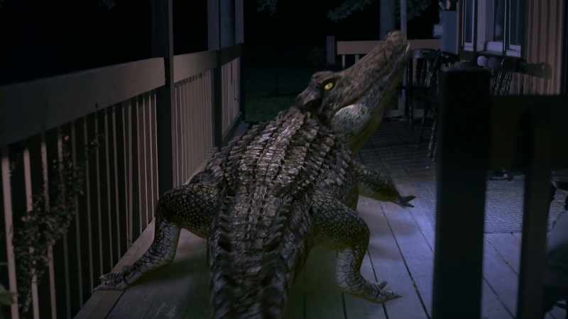 [ominous music] [alligator growls]