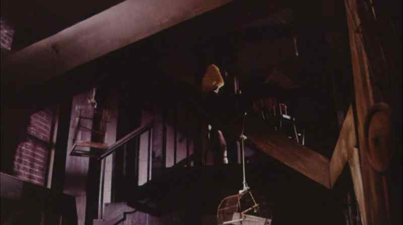 (ominous music) (stairs creaking)