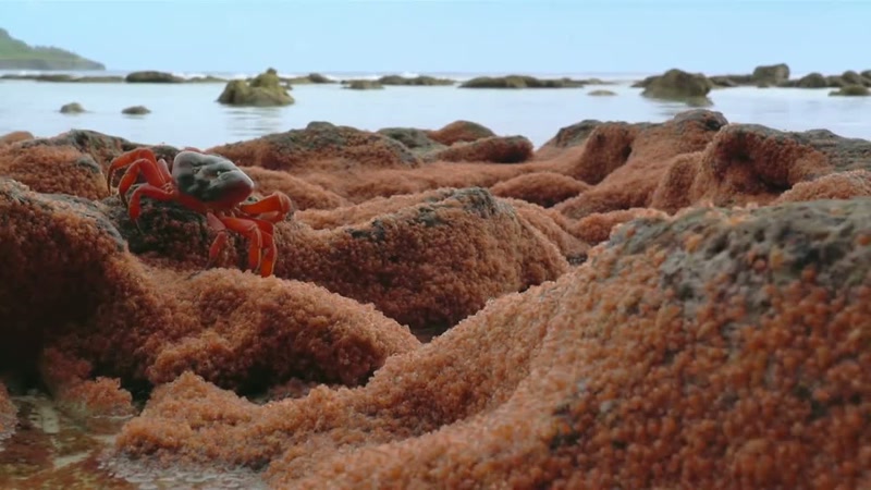 'On an incoming tide