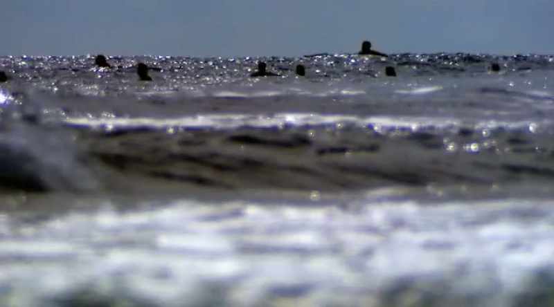 On Cape Cod, dozens of tourists enjoy