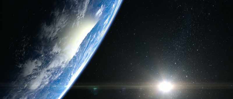 On Earth, all animals adapt to fit their environment