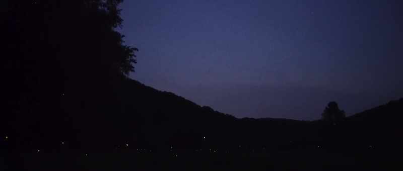 On Earth, some animals use light in the same way