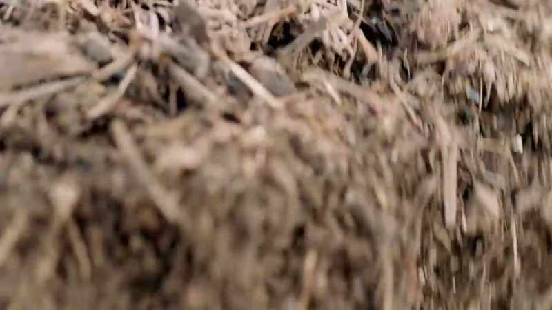 On George's land, that fuel comes from an unlikely source
