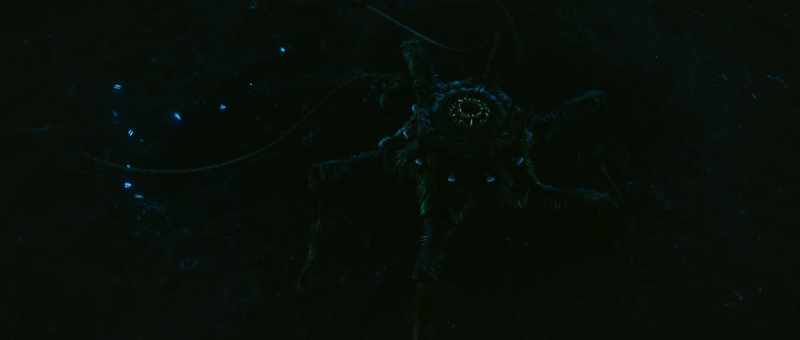 On Janus, the grubs use light to stay alive