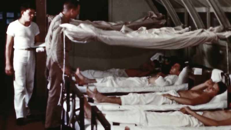 ON NEW GUINEA ALONE