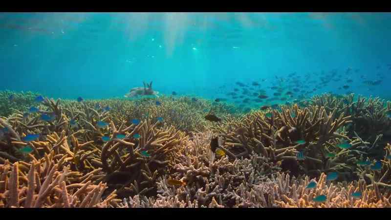 On our journey around the Pacific Ocean