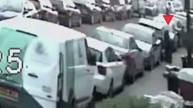 On the 11th April, Phoenix was captured on CCTV