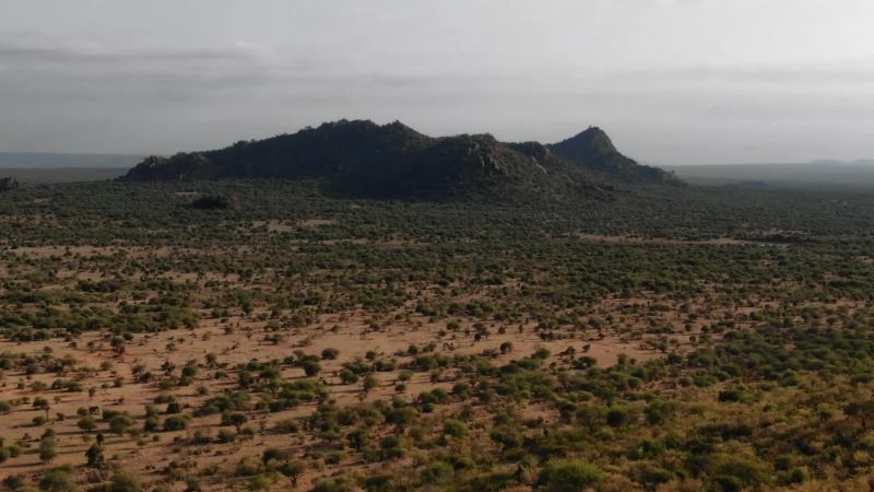 On the Highlands of Laikipia