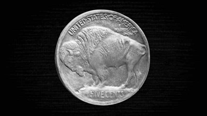 On the other was an American buffalo