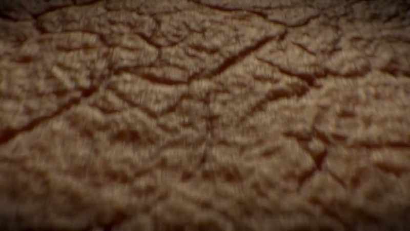 On the outside of microbes