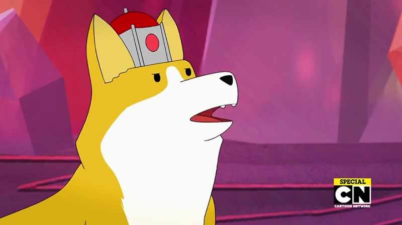 Once, a mighty Corgi emerged from the Blue River