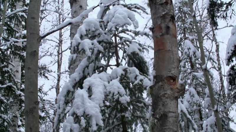 Once you get a snowfall on top of it