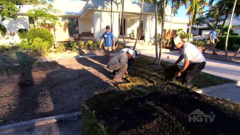 Once they get that sod down, the plants in