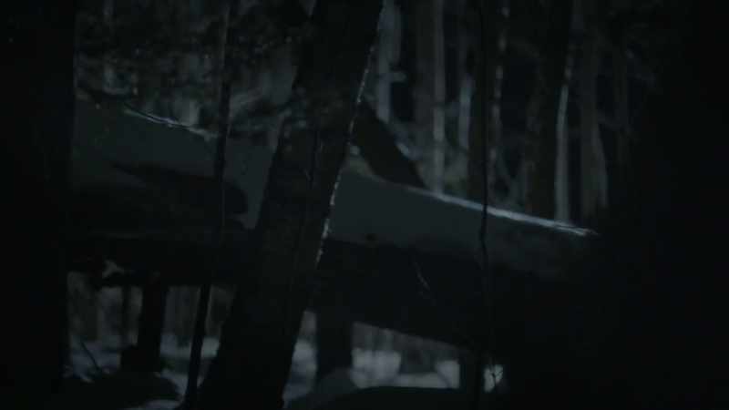 Once you go around that corner, it's a forest
