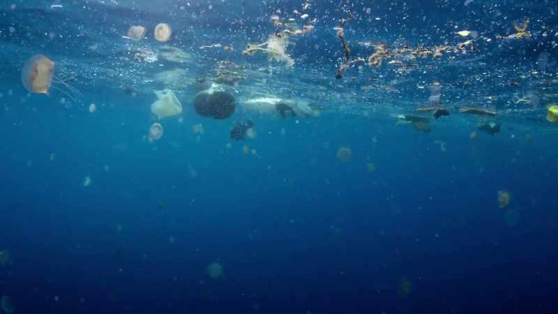 Once in the ocean