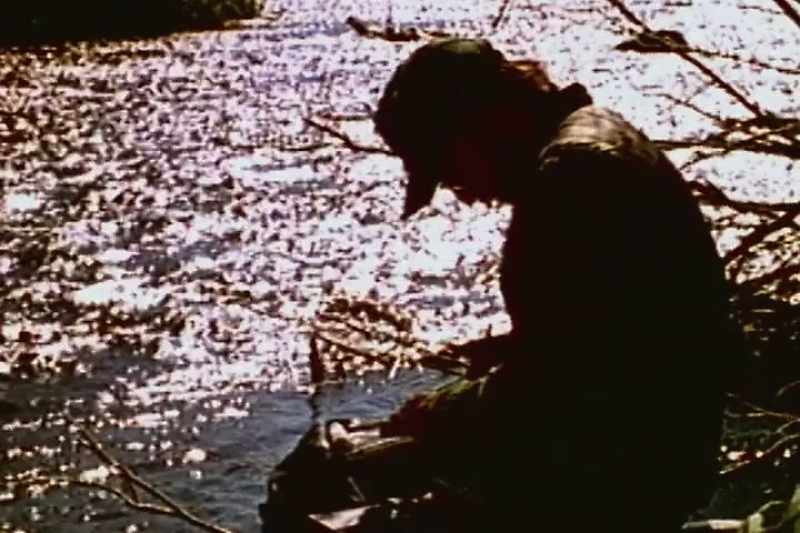 Once that information became available through the Madison-O'Dell studies