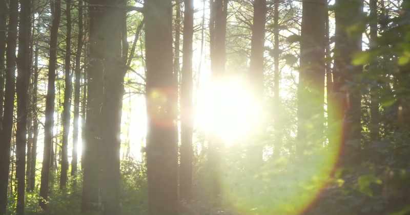 Once you realize that, the unmiracle becomes a miracle