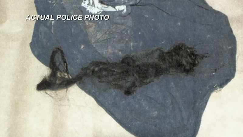 ONCE THAT SHIRT WAS UNROLLED