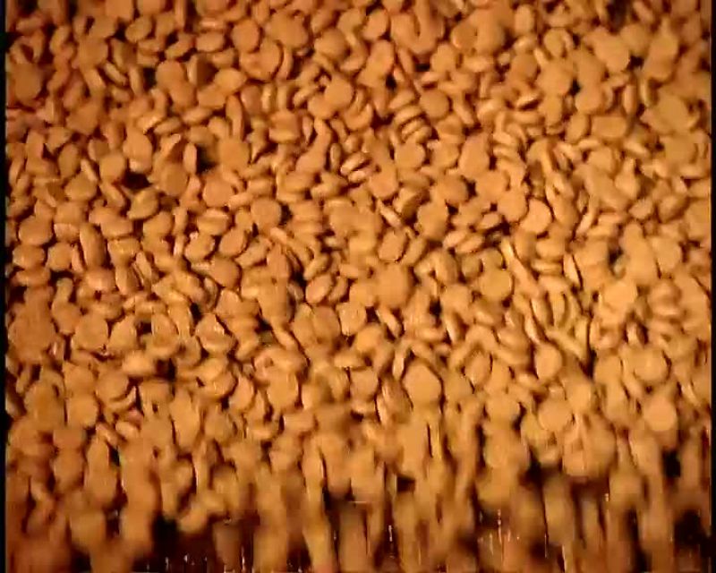 ONCE THE PIECES EXIT THE DRYER, THEY ENTER A REVOLVING DRUM