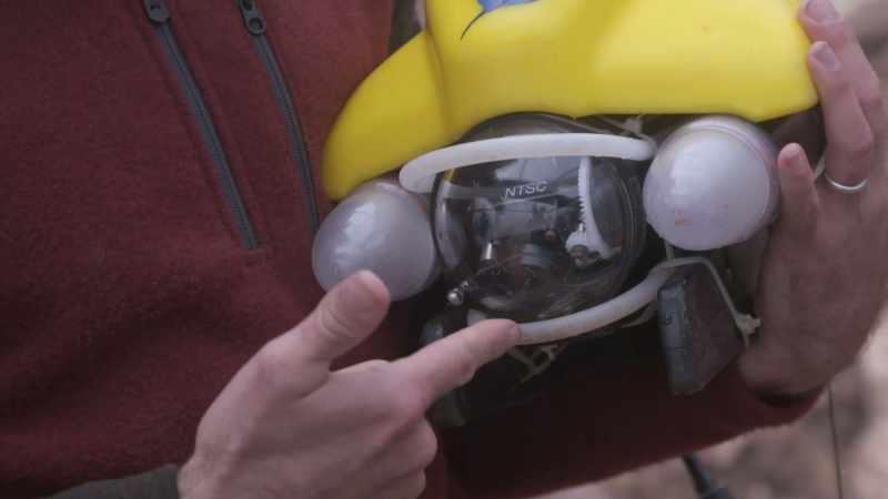 Once the ROV settles