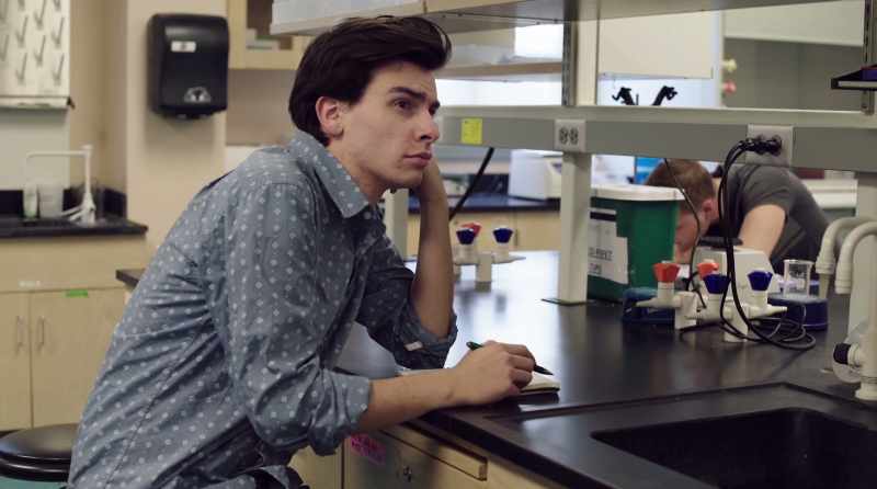 One cell division is equivalent to reproduction