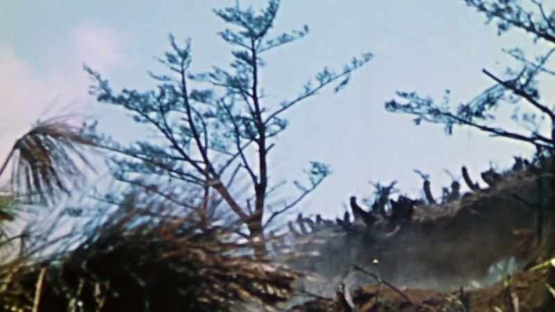 One general estimates there are 70,000 Japanese