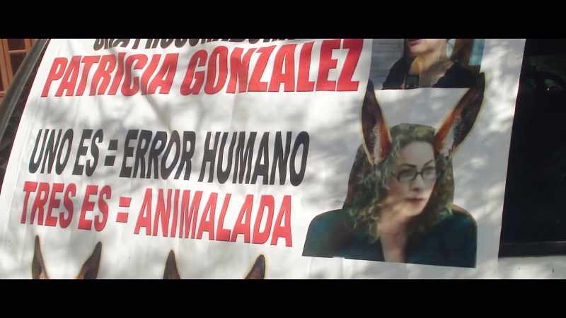 ONE IS HUMAN ERROR THREE IS OUTRAGE