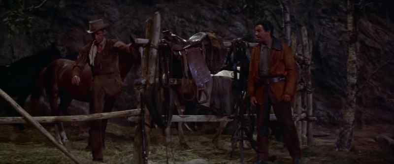 One lousy buffalo. Ridin' all day